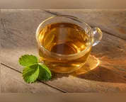 16 plantas para cultivar em casa e fazer chás saudáveis